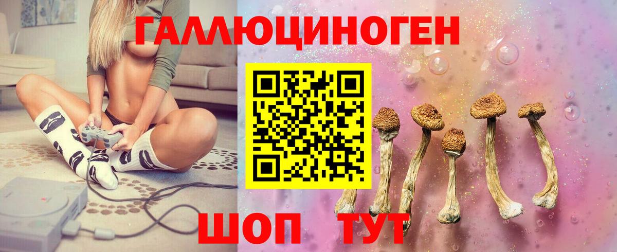 Галлюциногенные грибы ЛСД Кинель