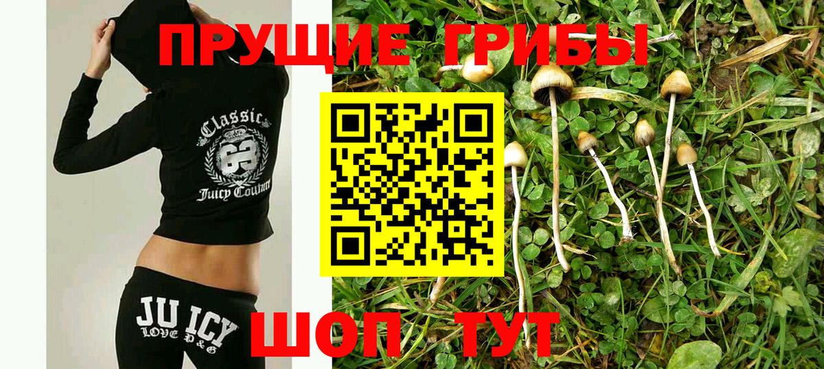 Кинель  Галлюциногенные грибы мицелий  Вход с VPN 